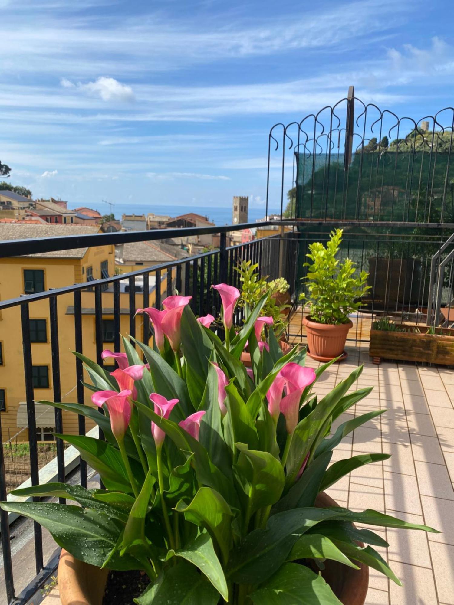 La Terrazza Di Monterosso Apartment Monterosso al Mare Exterior photo